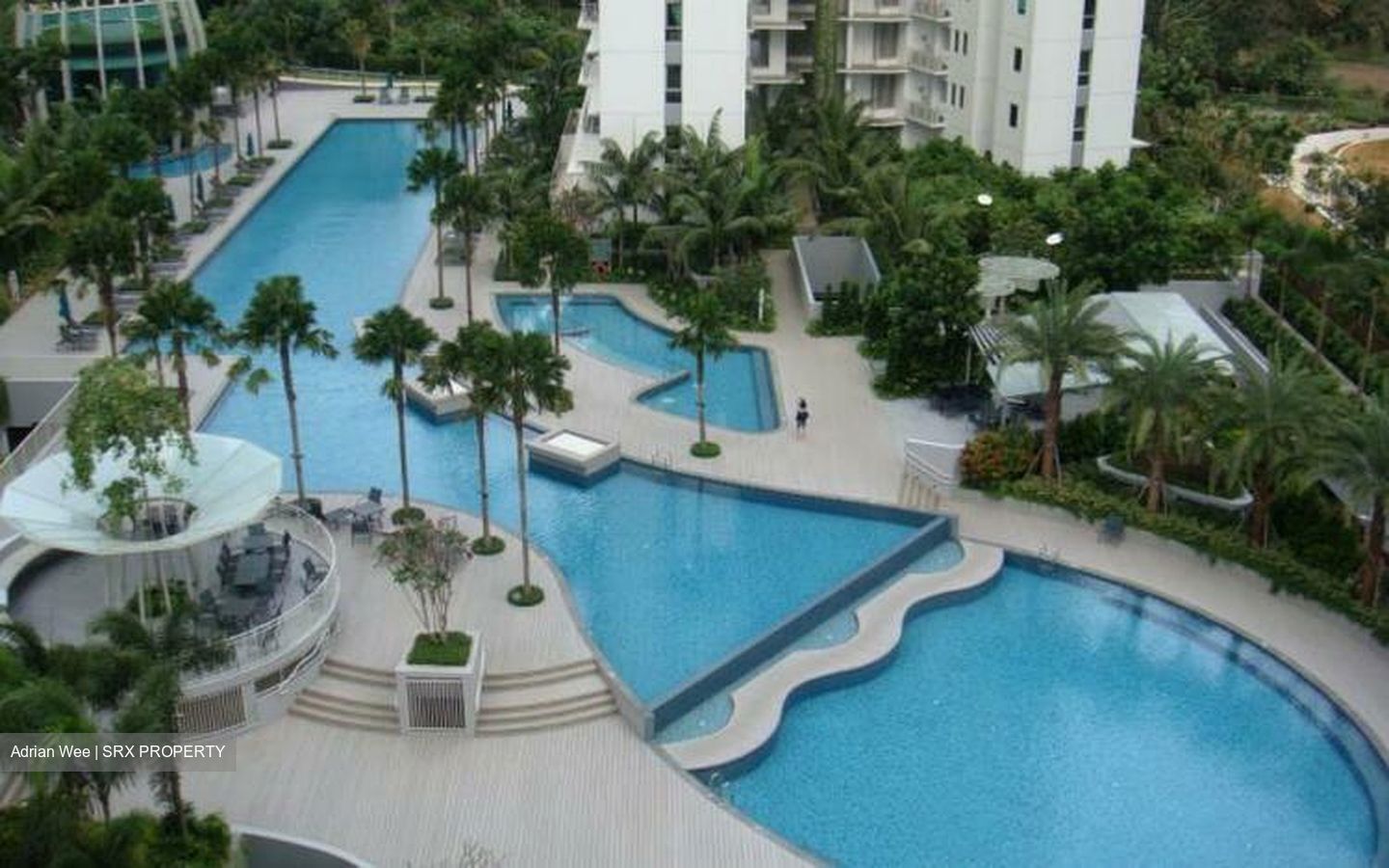 Tree House (D23), Condominium For Sale 98057661